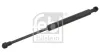 Gasfeder, Koffer-/Laderaum beidseitig FEBI BILSTEIN 28017