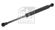 Gasfeder, Koffer-/Laderaum beidseitig FEBI BILSTEIN 28018
