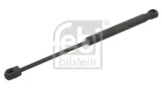 Gasfeder, Koffer-/Laderaum beidseitig FEBI BILSTEIN 28032