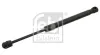 Gasfeder, Heckscheibe beidseitig FEBI BILSTEIN 28034
