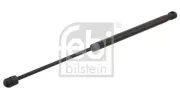Gasfeder, Koffer-/Laderaum beidseitig FEBI BILSTEIN 28038