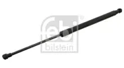 Gasfeder, Koffer-/Laderaum beidseitig FEBI BILSTEIN 28081