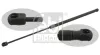 Gasfeder, Koffer-/Laderaum beidseitig FEBI BILSTEIN 28087