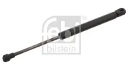 Gasfeder, Koffer-/Laderaum beidseitig FEBI BILSTEIN 28088