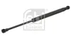 Gasfeder, Koffer-/Laderaum beidseitig FEBI BILSTEIN 28089