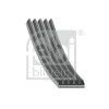 Keilrippenriemen FEBI BILSTEIN 28869