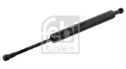 Gasfeder, Koffer-/Laderaum beidseitig FEBI BILSTEIN 29205