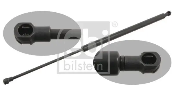 Gasfeder, Koffer-/Laderaum beidseitig FEBI BILSTEIN 29262