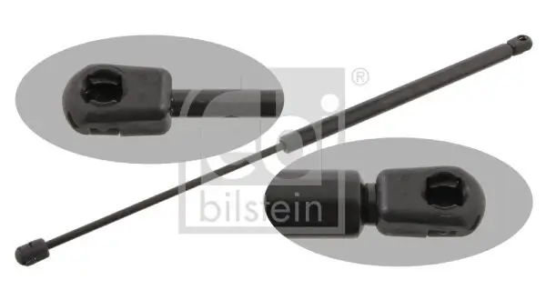 Gasfeder, Koffer-/Laderaum beidseitig FEBI BILSTEIN 29291