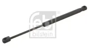 Gasfeder, Koffer-/Laderaum beidseitig FEBI BILSTEIN 29299