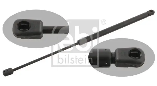 Gasfeder, Koffer-/Laderaum beidseitig FEBI BILSTEIN 29320