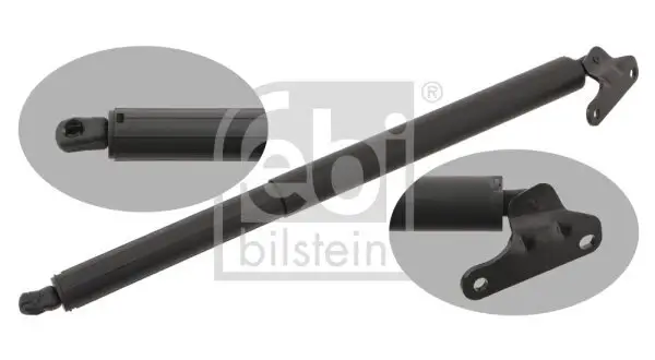 Gasfeder, Koffer-/Laderaum hinten links FEBI BILSTEIN 29338