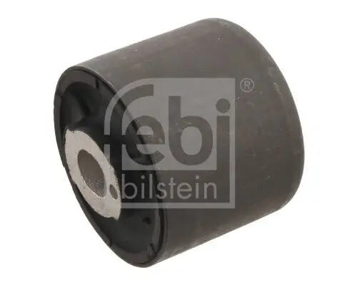 Lagerung, Differential links hinten FEBI BILSTEIN 29367