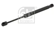 Gasfeder, Koffer-/Laderaum beidseitig FEBI BILSTEIN 29401