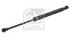 Gasfeder, Motorhaube beidseitig FEBI BILSTEIN 29433