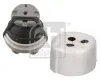 Lagerung, Motor vorne beidseitig FEBI BILSTEIN 29511