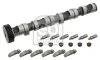 Nockenwellensatz Auslassseite für Zylinder 4-6 FEBI BILSTEIN 29922