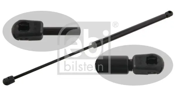 Gasfeder, Koffer-/Laderaum beidseitig FEBI BILSTEIN 29977