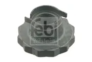 Mutter, Achszapfen FEBI BILSTEIN 30028