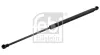 Gasfeder, Koffer-/Laderaum beidseitig FEBI BILSTEIN 30351