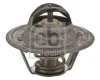 Thermostat, Kühlmittel FEBI BILSTEIN 30694