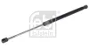 Gasfeder, Koffer-/Laderaum beidseitig FEBI BILSTEIN 30882