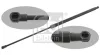 Gasfeder, Koffer-/Laderaum beidseitig FEBI BILSTEIN 31049
