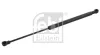 Gasfeder, Koffer-/Laderaum beidseitig FEBI BILSTEIN 31466