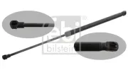 Gasfeder, Koffer-/Laderaum beidseitig FEBI BILSTEIN 31650