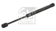 Gasfeder, Koffer-/Laderaum beidseitig FEBI BILSTEIN 31653