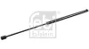 Gasfeder, Koffer-/Laderaum beidseitig FEBI BILSTEIN 31656