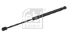 Gasfeder, Koffer-/Laderaum beidseitig FEBI BILSTEIN 31658