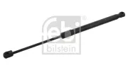 Gasfeder, Koffer-/Laderaum beidseitig FEBI BILSTEIN 31658