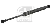 Gasfeder, Koffer-/Laderaum beidseitig FEBI BILSTEIN 31664