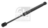 Gasfeder, Koffer-/Laderaum beidseitig FEBI BILSTEIN 31670