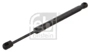 Gasfeder, Koffer-/Laderaum beidseitig FEBI BILSTEIN 31672