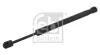 Gasfeder, Koffer-/Laderaum beidseitig FEBI BILSTEIN 31673