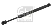 Gasfeder, Koffer-/Laderaum beidseitig FEBI BILSTEIN 31673