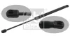Gasfeder, Koffer-/Laderaum beidseitig FEBI BILSTEIN 31674