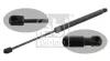 Gasfeder, Koffer-/Laderaum beidseitig FEBI BILSTEIN 31681