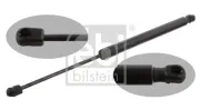 Gasfeder, Koffer-/Laderaum beidseitig FEBI BILSTEIN 31681
