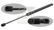 Gasfeder, Koffer-/Laderaum beidseitig FEBI BILSTEIN 31683