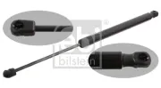 Gasfeder, Koffer-/Laderaum beidseitig FEBI BILSTEIN 31831