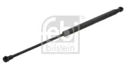 Gasfeder, Koffer-/Laderaum beidseitig FEBI BILSTEIN 33063