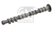 Nockenwelle Einlassseite FEBI BILSTEIN 33191