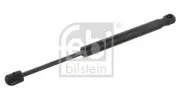 Gasfeder, Koffer-/Laderaum beidseitig FEBI BILSTEIN 33564