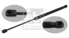 Gasfeder, Koffer-/Laderaum beidseitig FEBI BILSTEIN 34410