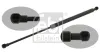Gasfeder, Koffer-/Laderaum beidseitig FEBI BILSTEIN 34417