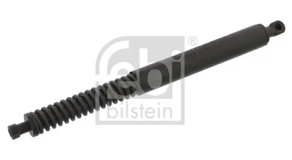 Gasfeder, Koffer-/Laderaum beidseitig FEBI BILSTEIN 34419