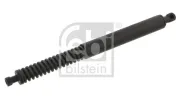 Gasfeder, Koffer-/Laderaum FEBI BILSTEIN 34419